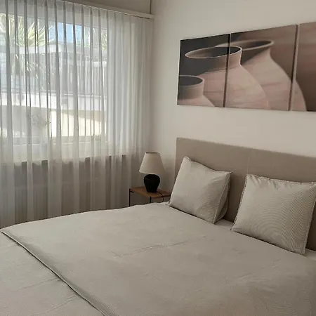 C12 Apartment Orselina